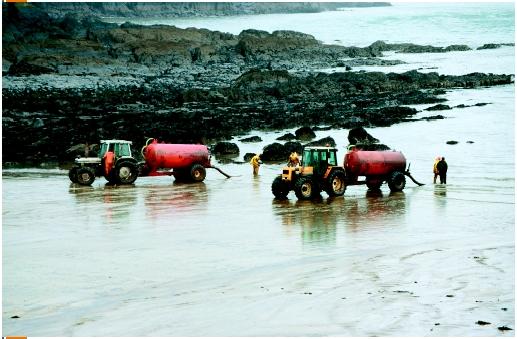 Tractor-drawn tankers are being used to clear oil beached to the west of Angle Bay, following the grounding of the tanker Sea Empress off Milford Haven in southwest Wales, U.K., 1996. (©Bryan Pickering; Eye Ubiquitous/Corbis. Reproduced by permission.)
