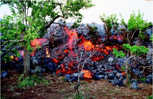 Lava flow from an eruption of Mount Etna, Sicily, destroys all trees and plants in its path. (©Vittoriano Rastelli/Corbis. Reproduced by permission.)