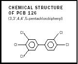 Chemical structure  of PCB 126 (3,3',4,4',5-pentachlorobiphenyl).