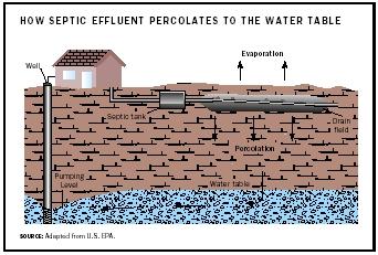 How Septic Effluent Percolates to the Water Table